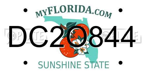DC2O844 Florida License Plate