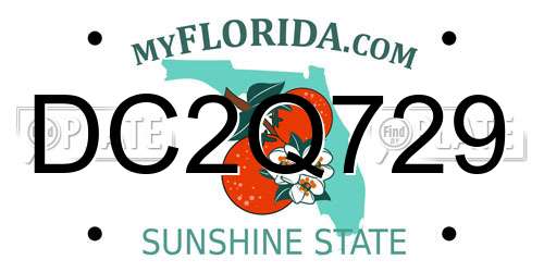 DC2Q729 Florida License Plate
