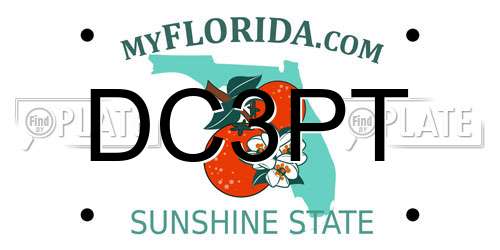 DC3PT Florida License Plate