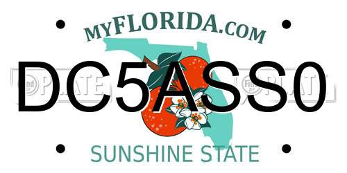 DC5ASS0 Florida License Plate
