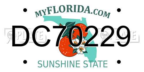 DC70229 Florida License Plate