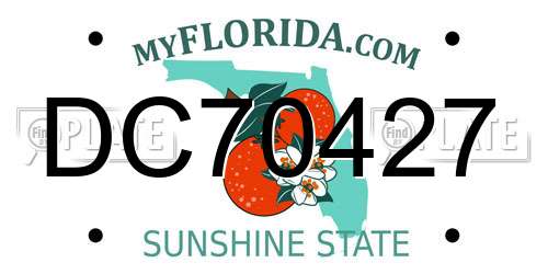 DC70427 Florida License Plate