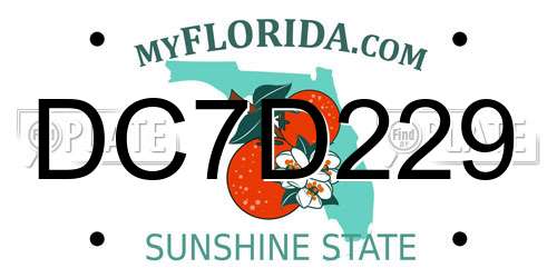DC7D229 Florida License Plate