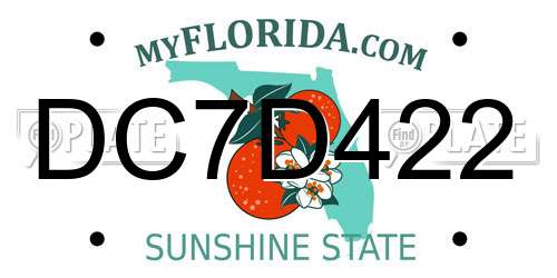 DC7D422 Florida License Plate