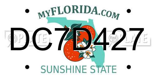 DC7D427 Florida License Plate
