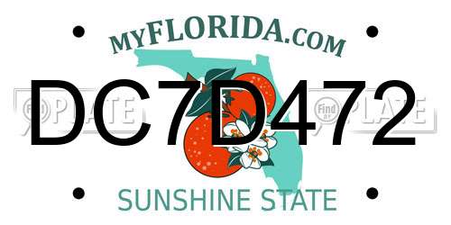 DC7D472 Florida License Plate