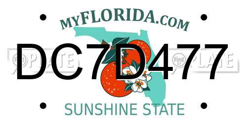DC7D477 Florida License Plate