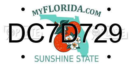 DC7D729 Florida License Plate