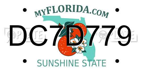 DC7D779 Florida License Plate