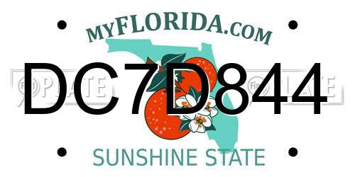 DC7D844 Florida License Plate