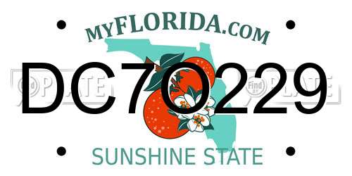 DC7O229 Florida License Plate