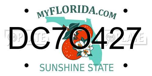 DC7O427 Florida License Plate