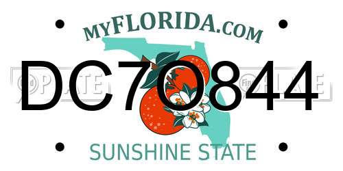 DC7O844 Florida License Plate