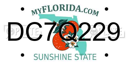 DC7Q229 Florida License Plate