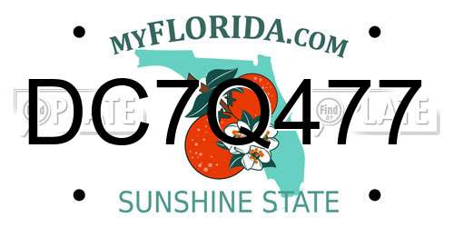 DC7Q477 Florida License Plate