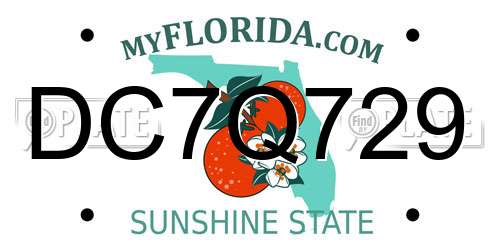 DC7Q729 Florida License Plate