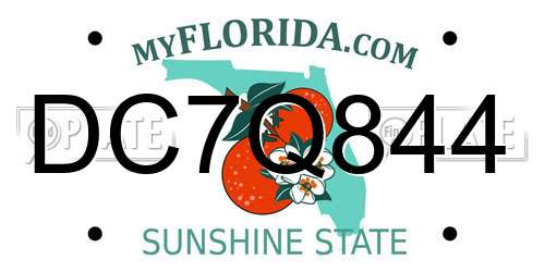 DC7Q844 Florida License Plate