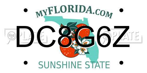 DC8G6Z Florida License Plate