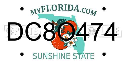 DC8O474 Florida License Plate