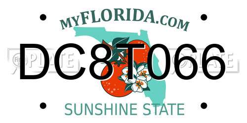 DC8T066 Florida License Plate