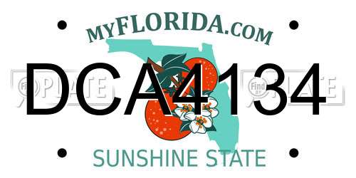 DCA4134 Florida License Plate