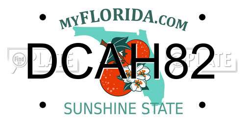 DCAH82 Florida License Plate