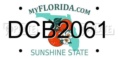 DCB2061 Florida License Plate