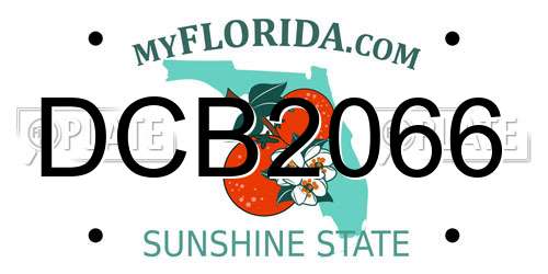 DCB2066 Florida License Plate