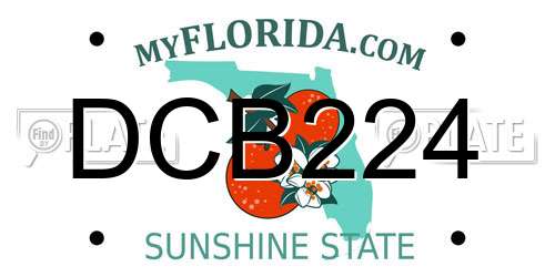 DCB224 Florida License Plate