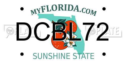 DCBL72 Florida License Plate