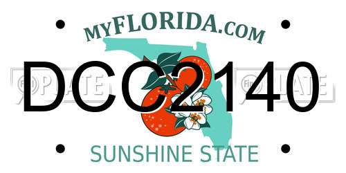 DCC2140 Florida License Plate