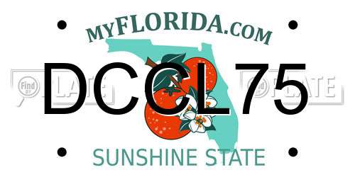 DCCL75 Florida License Plate