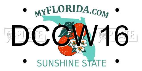DCCW16 Florida License Plate