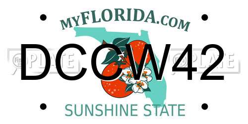 DCCW42 Florida License Plate