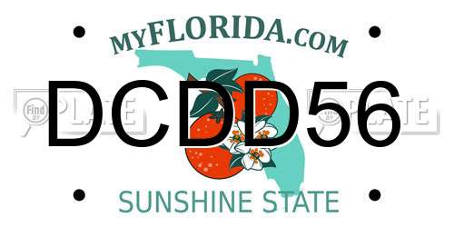 DCDD56 Florida License Plate