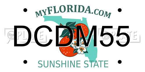 DCDM55 Florida License Plate
