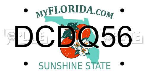 DCDQ56 Florida License Plate