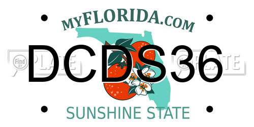 DCDS36 Florida License Plate