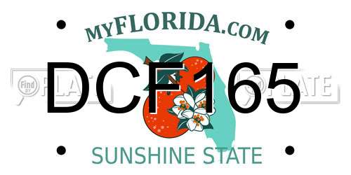 DCF165 Florida License Plate