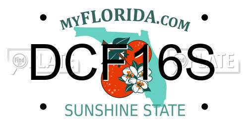 DCF16S Florida License Plate