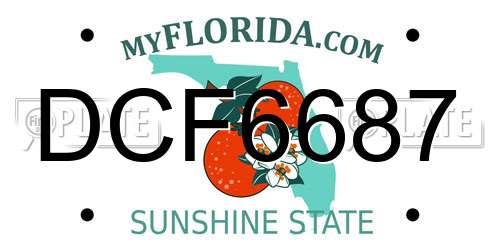 DCF6687 Florida License Plate