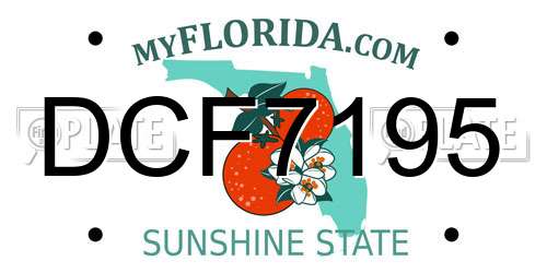 DCF7195 Florida License Plate
