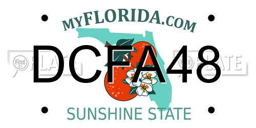 DCFA48 Florida License Plate