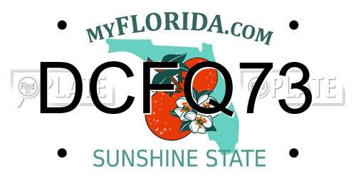 DCFQ73 Florida License Plate