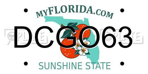 DCGO63 Florida License Plate
