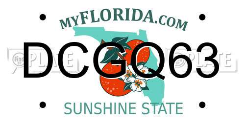 DCGQ63 Florida License Plate