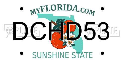 DCHD53 Florida License Plate