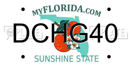 DCHG40 Florida License Plate