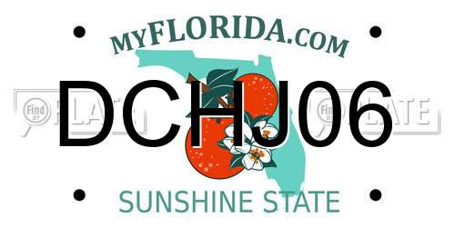 DCHJ06 Florida License Plate