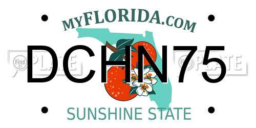 DCHN75 Florida License Plate
